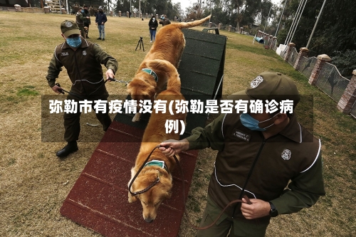 弥勒市有疫情没有(弥勒是否有确诊病例)-第2张图片