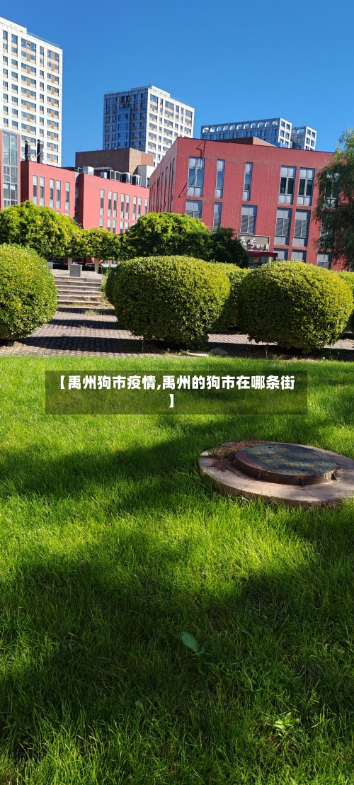 【禹州狗市疫情,禹州的狗市在哪条街】-第3张图片