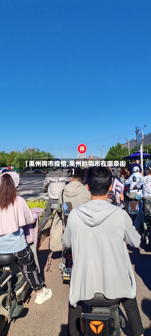 【禹州狗市疫情,禹州的狗市在哪条街】-第2张图片