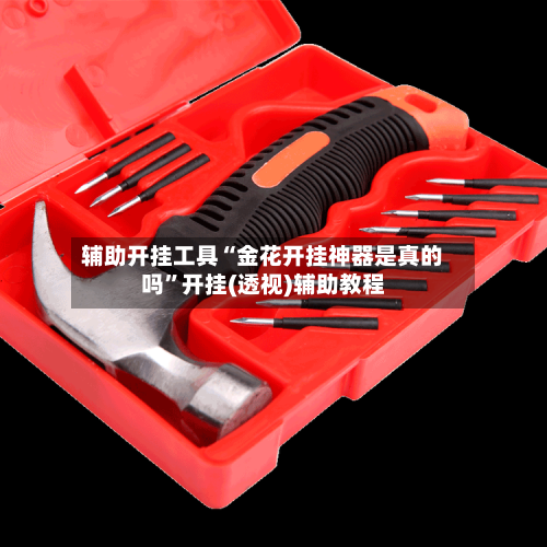 辅助开挂工具“金花开挂神器是真的吗”开挂(透视)辅助教程-第3张图片