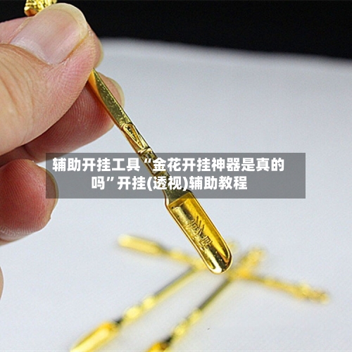辅助开挂工具“金花开挂神器是真的吗	”开挂(透视)辅助教程-第1张图片