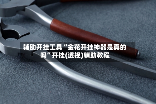 辅助开挂工具“金花开挂神器是真的吗”开挂(透视)辅助教程-第2张图片