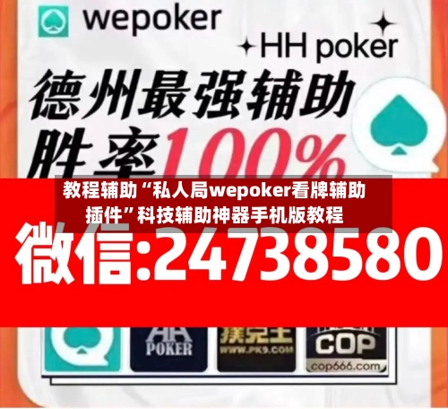 教程辅助“私人局wepoker看牌辅助插件”科技辅助神器手机版教程-第3张图片