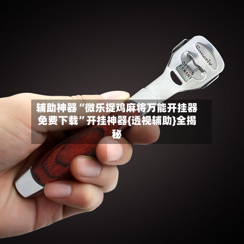 辅助神器“微乐捉鸡麻将万能开挂器免费下载	”开挂神器{透视辅助}全揭秘-第2张图片