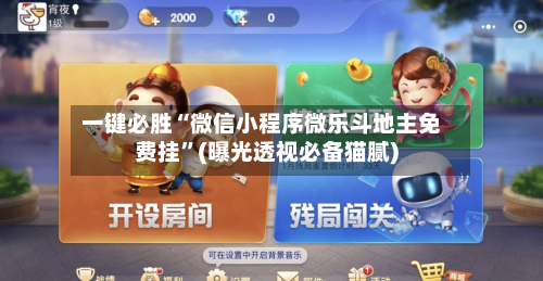 一键必胜“微信小程序微乐斗地主免费挂”(曝光透视必备猫腻)-第2张图片