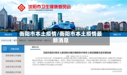 衡阳市本土疫情/衡阳市本土疫情最新消息-第2张图片