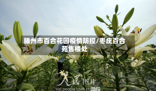 滕州市百合花园疫情防控/枣庄百合苑售楼处-第1张图片