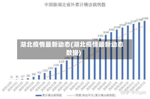 湖北疫情最新动态(湖北疫情最新动态数据)-第1张图片