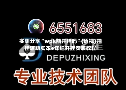 实测分享“wpk能开挂吗	”(透视)开挂辅助脚本+详细开挂安装教程-第1张图片