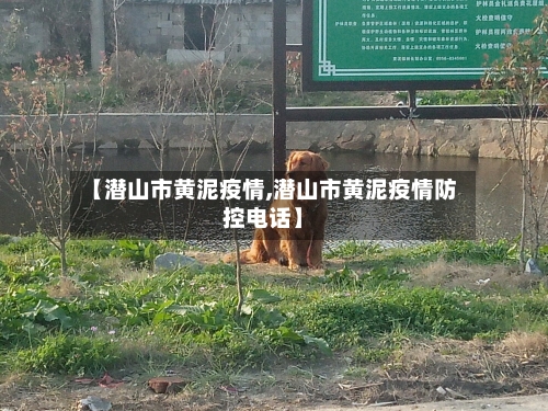 【潜山市黄泥疫情,潜山市黄泥疫情防控电话】-第3张图片