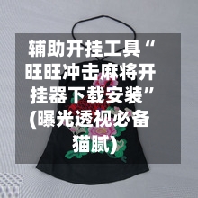 辅助开挂工具“旺旺冲击麻将开挂器下载安装	”(曝光透视必备猫腻)-第2张图片
