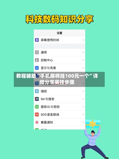 教程辅助“手机麻将挂100元一个”详细分享装挂步骤-第3张图片