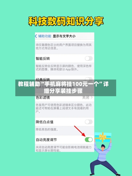教程辅助“手机麻将挂100元一个	”详细分享装挂步骤-第2张图片