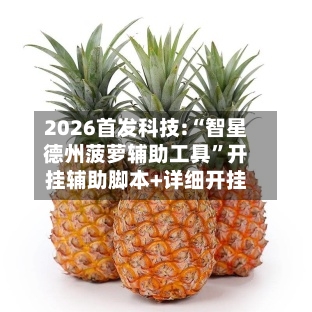 2026首发科技:“智星德州菠萝辅助工具	”开挂辅助脚本+详细开挂-第1张图片
