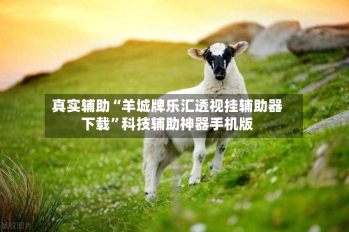 真实辅助“羊城牌乐汇透视挂辅助器下载	”科技辅助神器手机版-第2张图片