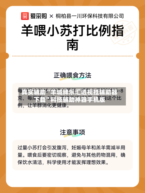 真实辅助“羊城牌乐汇透视挂辅助器下载”科技辅助神器手机版-第1张图片