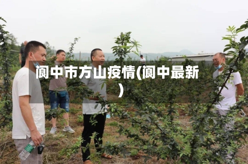 阆中市方山疫情(阆中最新)-第2张图片