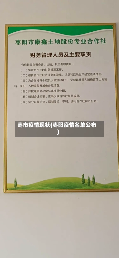 枣市疫情现状(枣阳疫情名单公布)-第2张图片