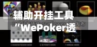 辅助开挂工具“WePoker透视软件怎么用”(透视)开挂辅助脚本+详细开挂安装教程-第2张图片