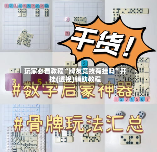 玩家必看教程“牌友竞技有挂吗”开挂(透视)辅助教程-第2张图片