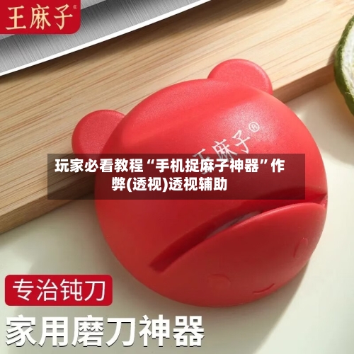 玩家必看教程“手机捉麻子神器”作弊(透视)透视辅助-第1张图片
