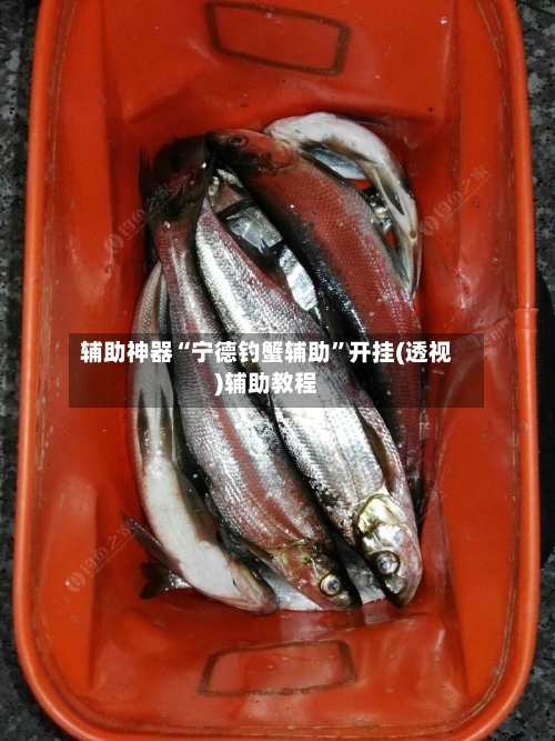辅助神器“宁德钓蟹辅助”开挂(透视)辅助教程-第1张图片