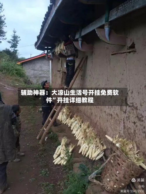 辅助神器：大凉山生活号开挂免费软件	”开挂详细教程-第3张图片