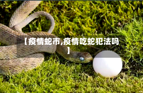 【疫情蛇市,疫情吃蛇犯法吗】-第1张图片