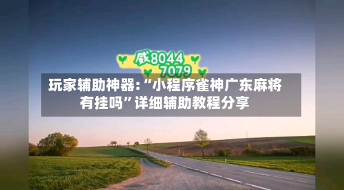 玩家辅助神器:“小程序雀神广东麻将有挂吗”详细辅助教程分享-第2张图片