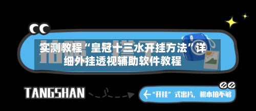 实测教程“皇冠十三水开挂方法	”详细外挂透视辅助软件教程-第2张图片