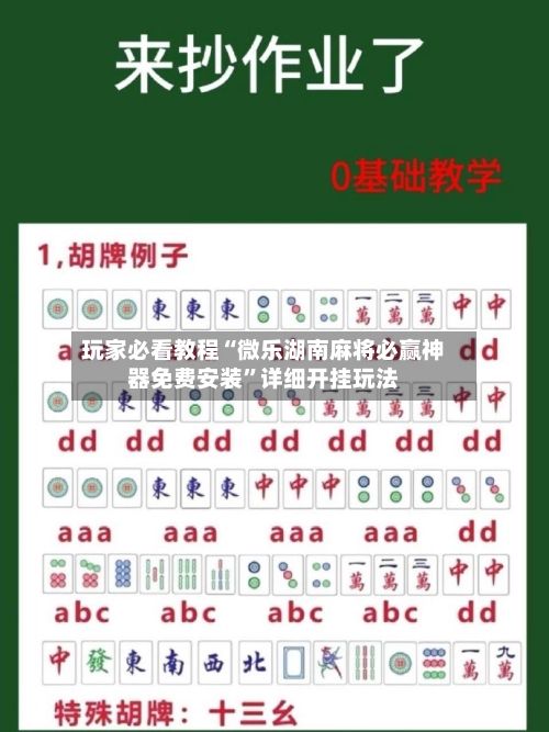 玩家必看教程“微乐湖南麻将必赢神器免费安装”详细开挂玩法-第1张图片