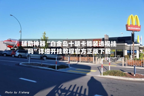 辅助神器“白金岛十胡卡能装透视挂吗	”详细开挂教程官方正版下载-第1张图片