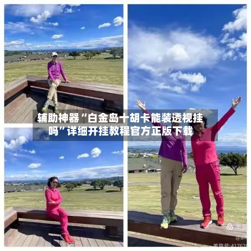辅助神器“白金岛十胡卡能装透视挂吗”详细开挂教程官方正版下载-第2张图片