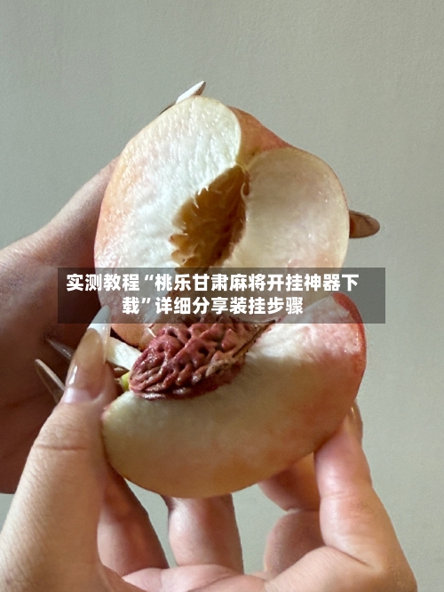 实测教程“桃乐甘肃麻将开挂神器下载”详细分享装挂步骤-第1张图片