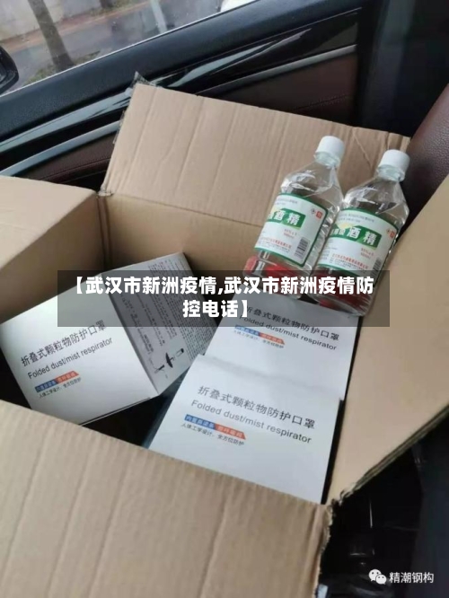 【武汉市新洲疫情,武汉市新洲疫情防控电话】-第1张图片