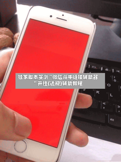 独家脚本实测“微信斗牛链接辅助器”开挂(透视)辅助教程-第3张图片