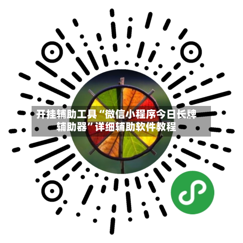 开挂辅助工具“微信小程序今日长牌辅助器”详细辅助软件教程-第3张图片