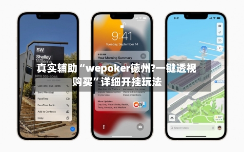 真实辅助“wepoker德州?一键透视购买”详细开挂玩法-第3张图片
