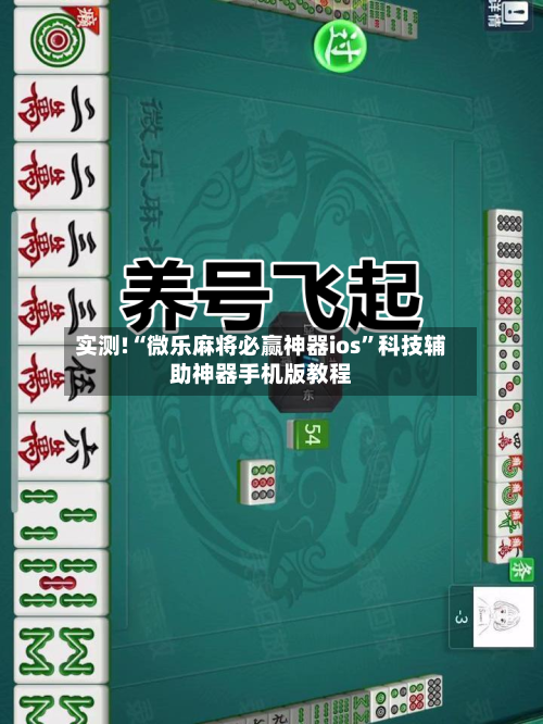 实测!“微乐麻将必赢神器ios”科技辅助神器手机版教程-第1张图片