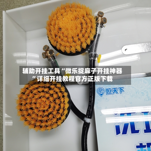辅助开挂工具“微乐捉麻子开挂神器	”详细开挂教程官方正版下载-第2张图片