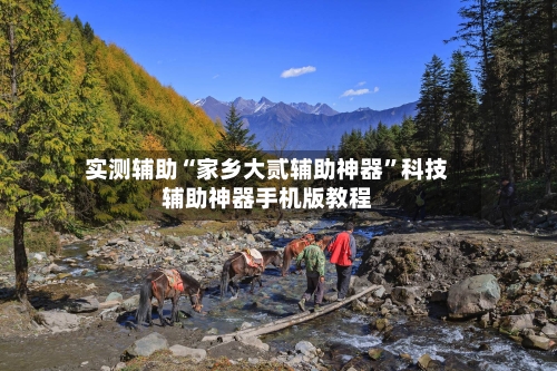 实测辅助“家乡大贰辅助神器”科技辅助神器手机版教程-第2张图片