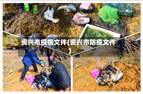 资兴市疫情文件(资兴市防疫文件)-第2张图片