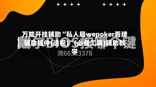 万能开挂辅助“私人局wepoker看牌辅助插件(透视)”(必备工具)辅助教学-第2张图片