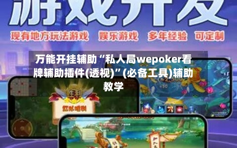 万能开挂辅助“私人局wepoker看牌辅助插件(透视)	”(必备工具)辅助教学-第1张图片