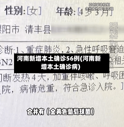 河南新增本土确诊56例(河南新增本土确诊病)-第2张图片