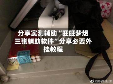 分享实测辅助“旺旺梦想三张辅助软件	”分享必要外挂教程-第1张图片