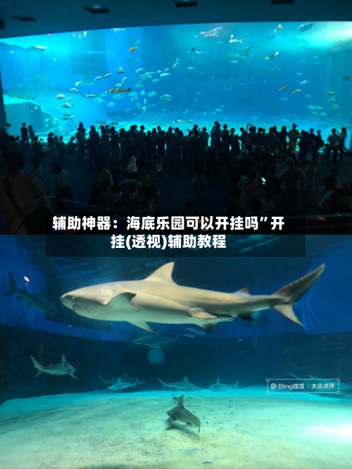 辅助神器：海底乐园可以开挂吗	”开挂(透视)辅助教程-第2张图片