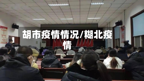 胡市疫情情况/糊北疫情-第1张图片