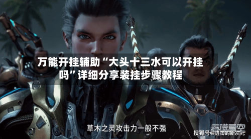 万能开挂辅助“大头十三水可以开挂吗”详细分享装挂步骤教程-第2张图片