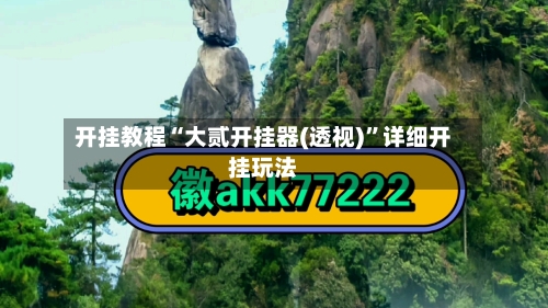 开挂教程“大贰开挂器(透视)”详细开挂玩法-第2张图片